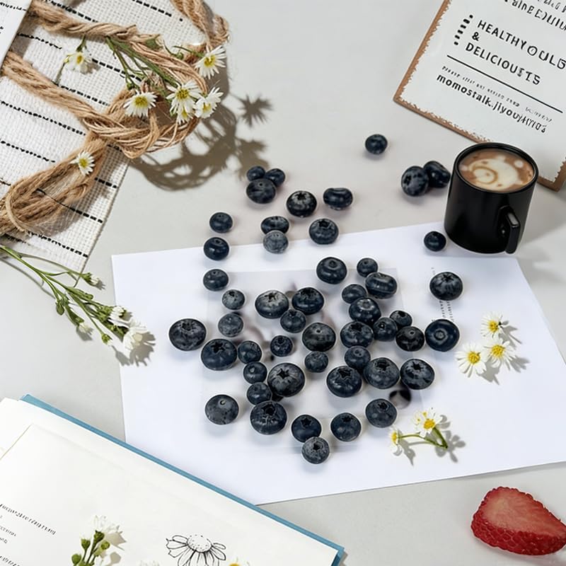 Fake Blueberries, Realistic Fa - Photography Of Food ulasan dan harga